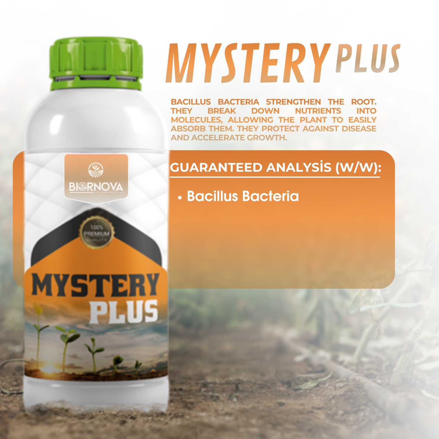 MYSTERY Plus