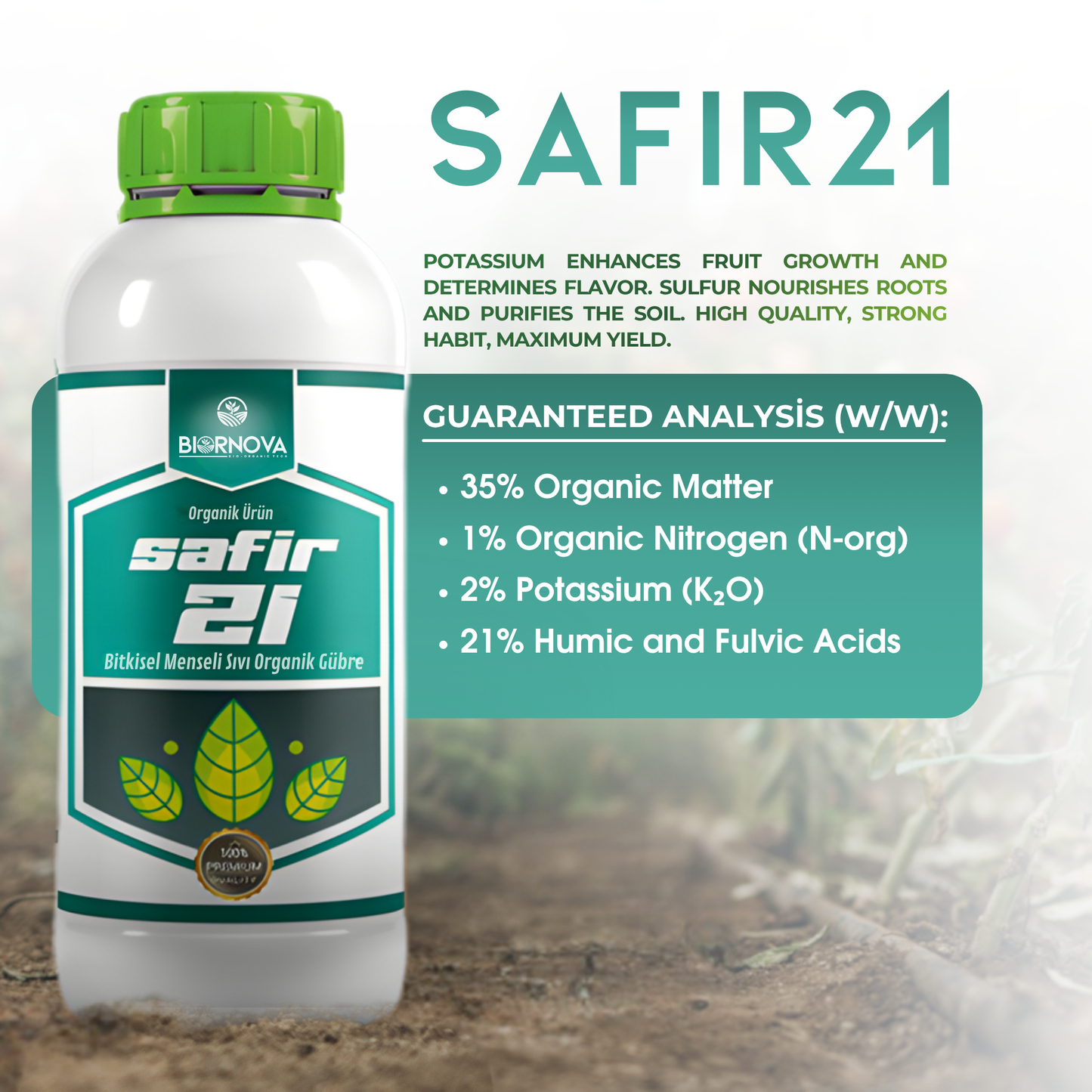SAFİR 21
