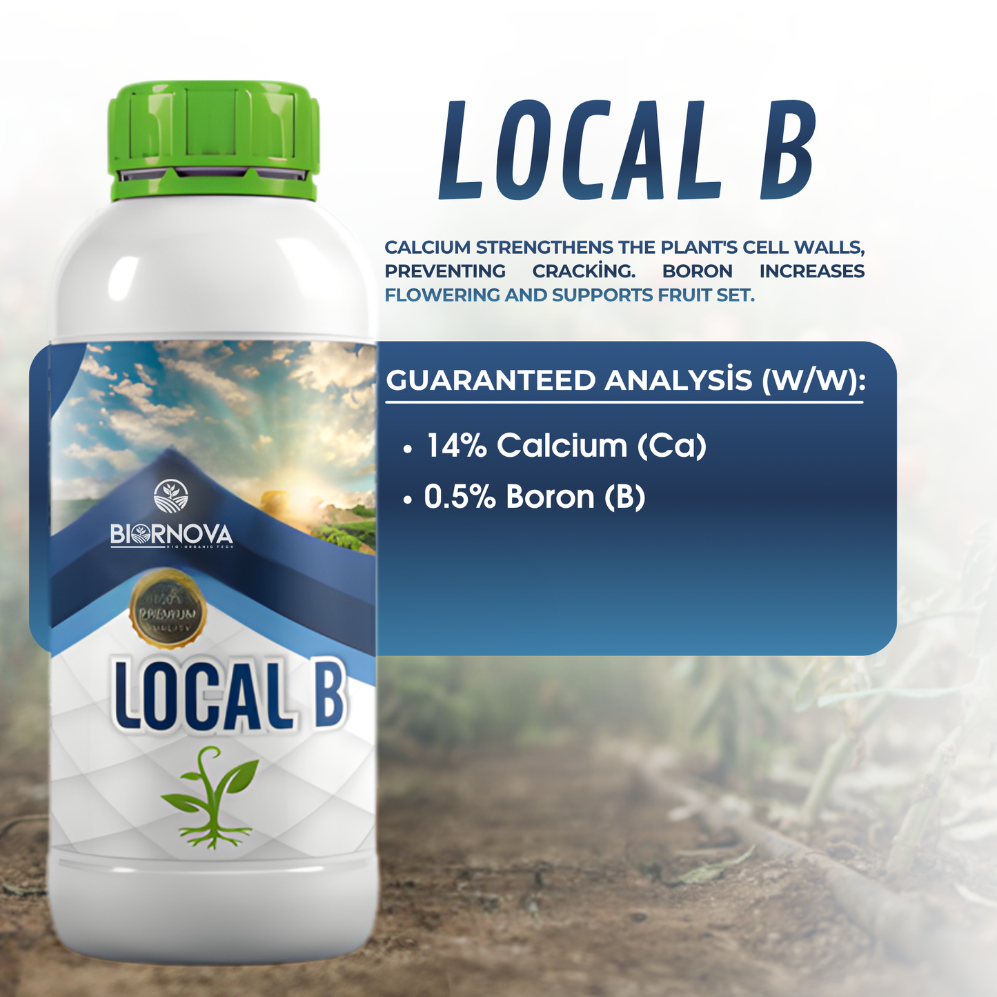 LOCAL B - Calcium and Boron