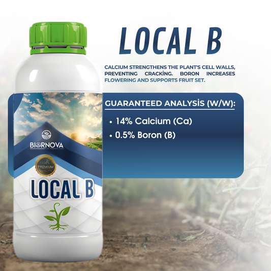 LOCAL B - Calcium and Boron