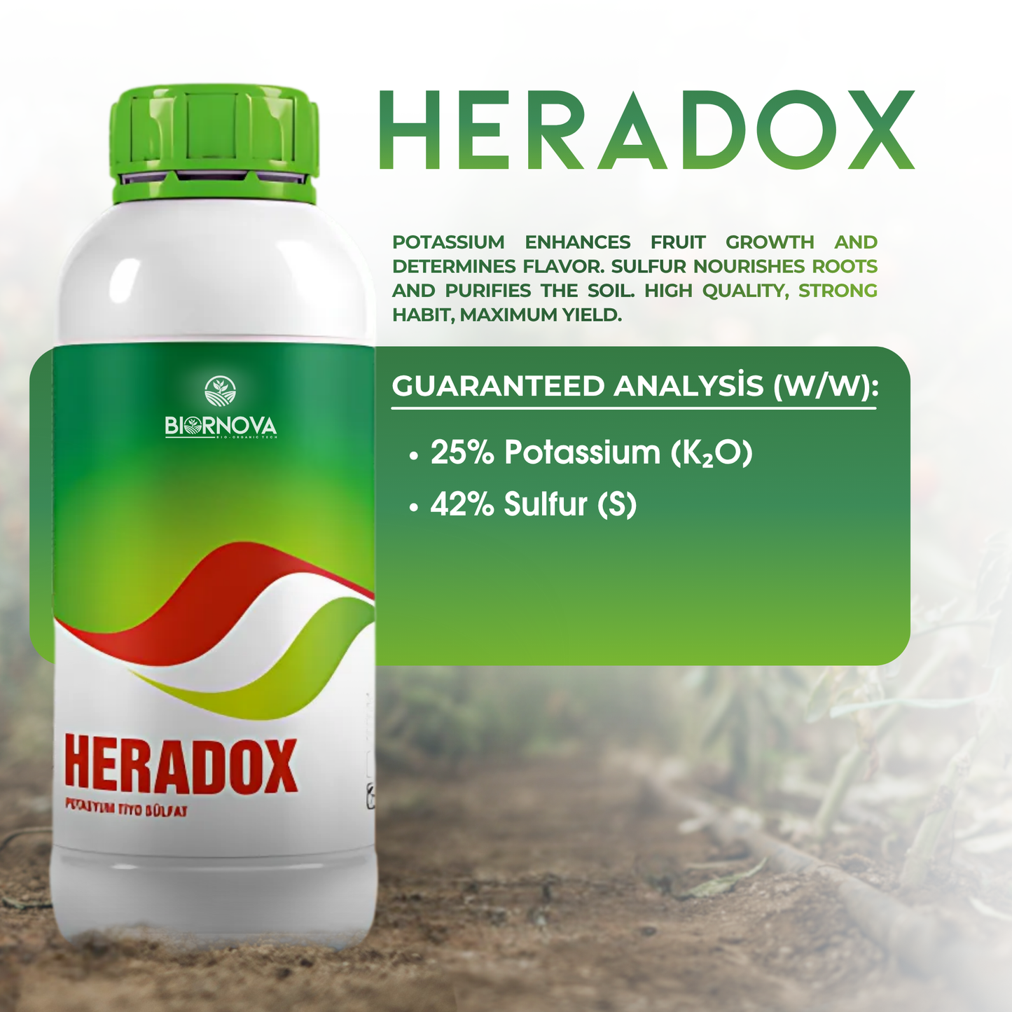 HERADOX