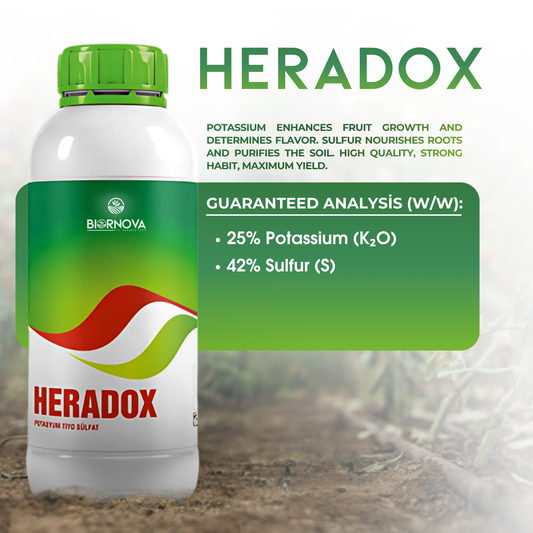HERADOX